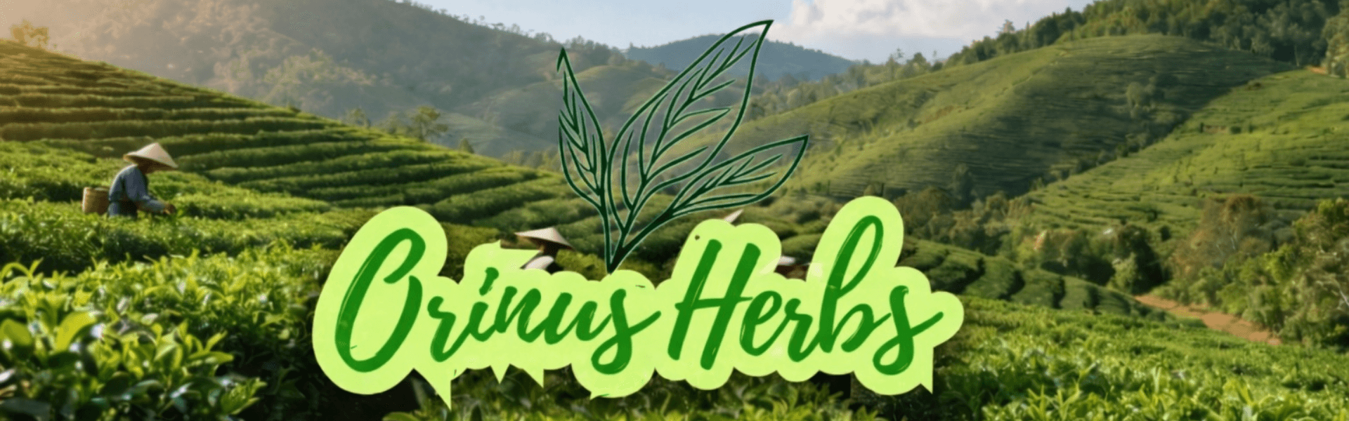 Hero Banner Orinus